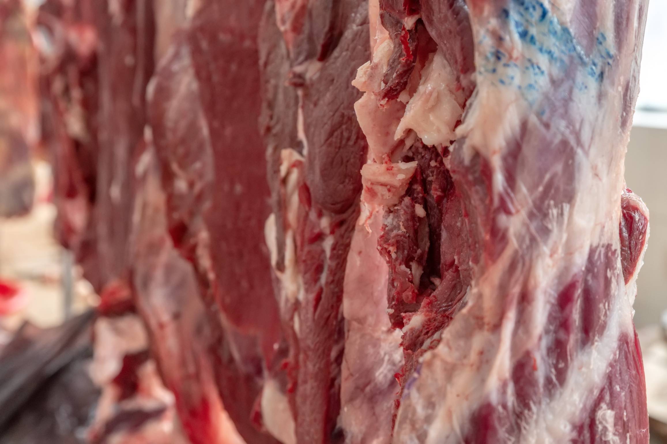 Frozen Beef & Mutton