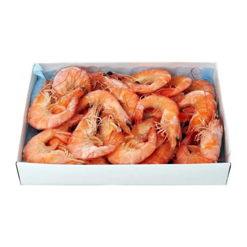 Frozen Shrimp